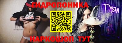 крисы Нарткала