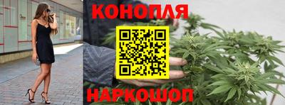 крисы Нальчик